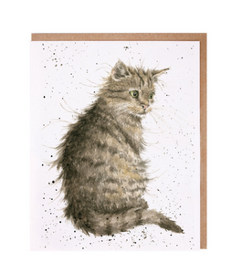 Wrendale Greeting Card, The Cat's Whiskers