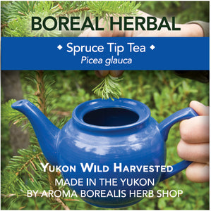 Aroma Borealis Spruce Tip Herbal Tea, 20g