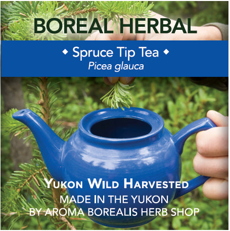 Aroma Borealis Spruce Tip Herbal Tea, 20g