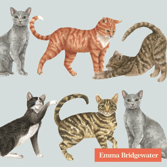 Cocktail Napkin - Cats, Light Blue (Emma Bridgewater)