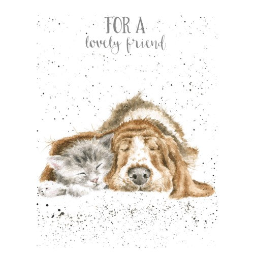 Friendship Card, Dog And Catnap