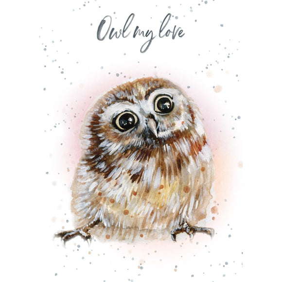 BD / Owl My Love Birthday Card