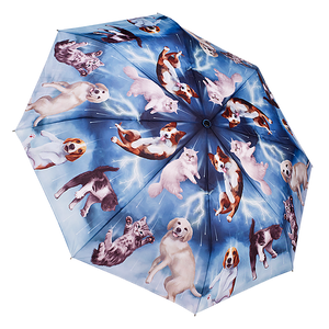 Folding Umbrella - Raining Cats & Dogs