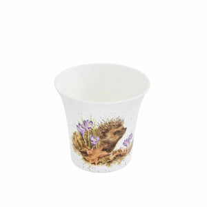 Wrendale Hedgehog Flower/Herb Pot 4"