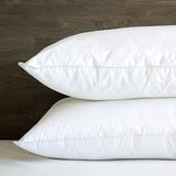 Summit Pillow, Queen Feather/Down