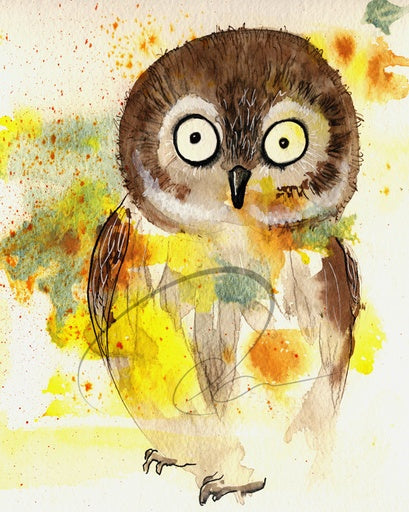 16x20 Canvas Owl