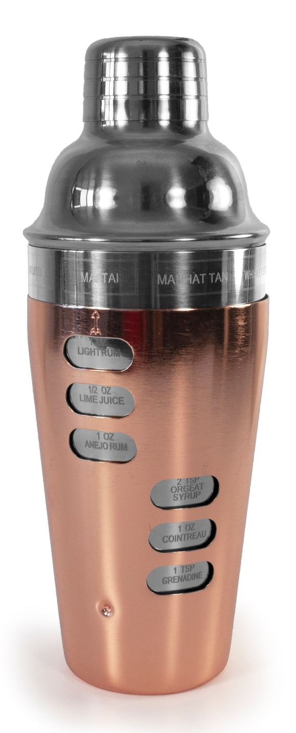S/S & Copper Plated Cocktail Shaker w/Recipes