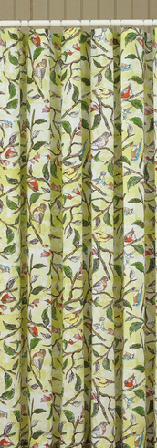 Park Designs Bird Song Shower Curtain, 72x72