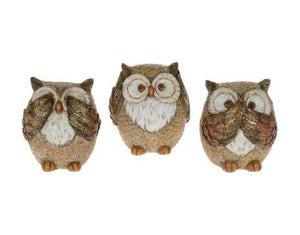 4" Brown Owls - See/Speak/Hear