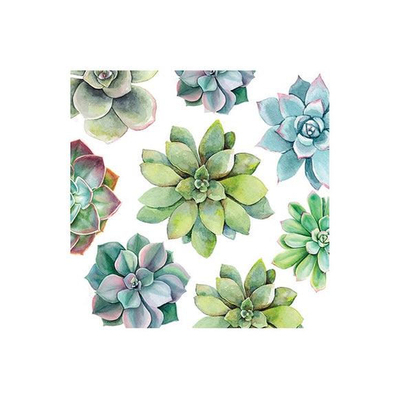 Succulent Printed Lunch Napkin, 20pk