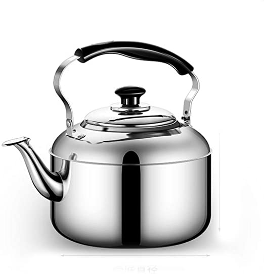Stainless Steel Water Kettle, 8L